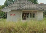 Dody Diduga Seorang Penampung BBM jenis Solar Yang Tak Memiliki Izin TDP, PMKU dari Syahbandar